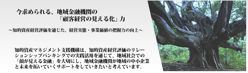 知的資産マネジメント支援機構は、地域金融機関のリレーションシップバンキング実現における、「知的資産経営評価」の実践活用を通じて、地域社会での「顔が見える金融」の実現に寄与し、地域企業と共に未来を拓いていくビジネスパートナー実現に貢献してまいります。