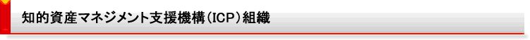 知的資産マネジメント支援機構（ICP）組織