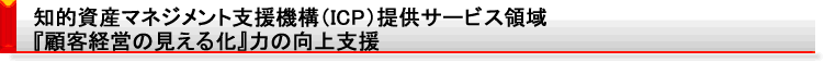 知的資産マネジメント支援機構(ICP)提供サービス領域