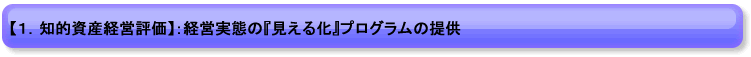 【１．知的資産経営評価】：経営実態の『見える化』プログラムの提供