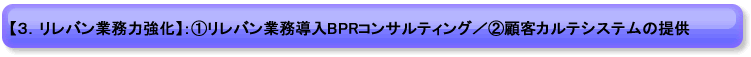 【3.リレバン業務力強化】:①リレバン業務導入BPRコンサルティング/②顧客カルテシステムの提供