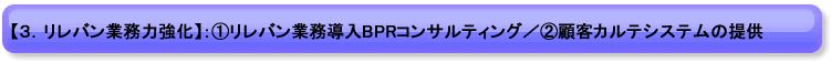 【３．リレバン業務力強化】：①リレバン業務導入BPRコンサルティング／②顧客カルテシステムの提供