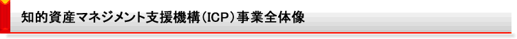 知的資産マネジメント支援機構(ICP)事業全体像